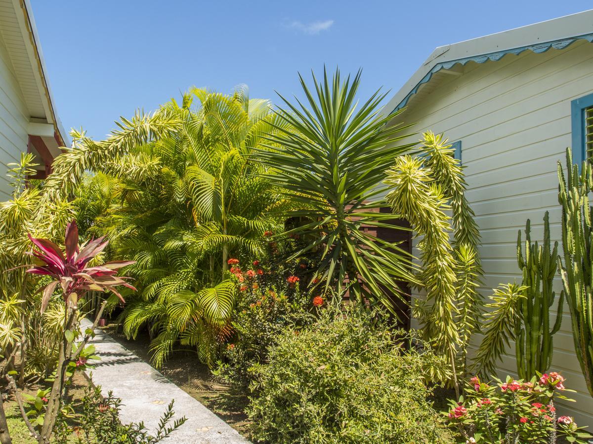 Coco Bungalows Sainte-Rose Exterior foto