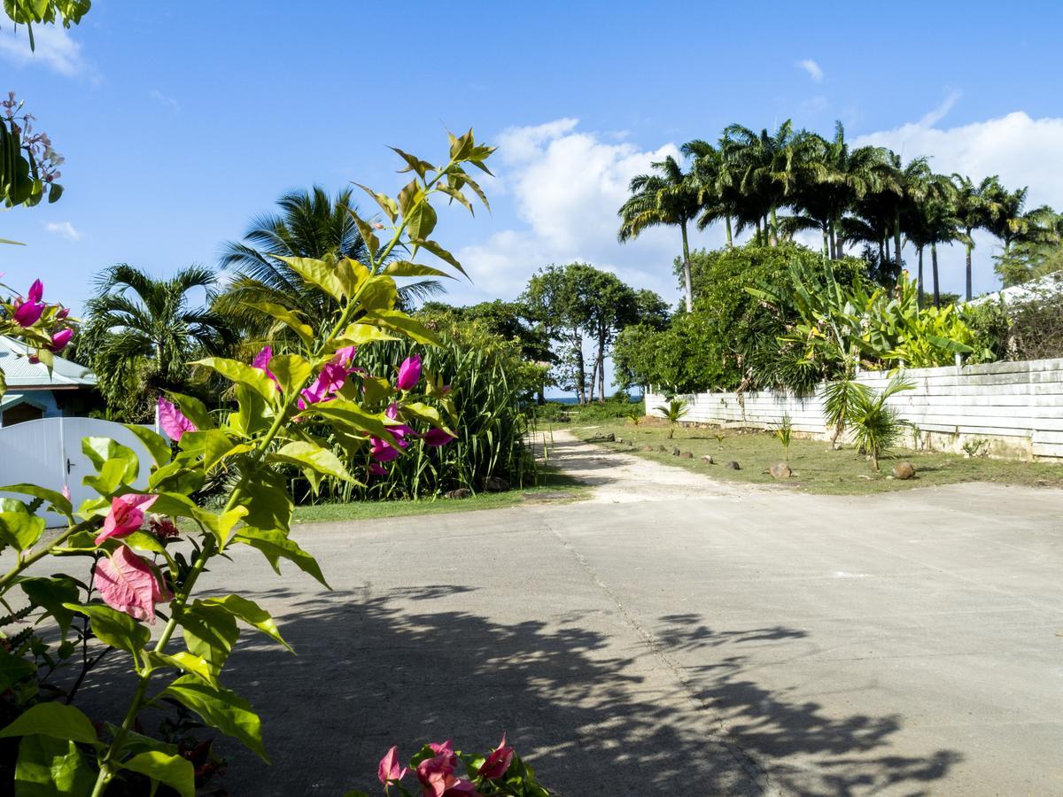 Coco Bungalows Sainte-Rose Exterior foto