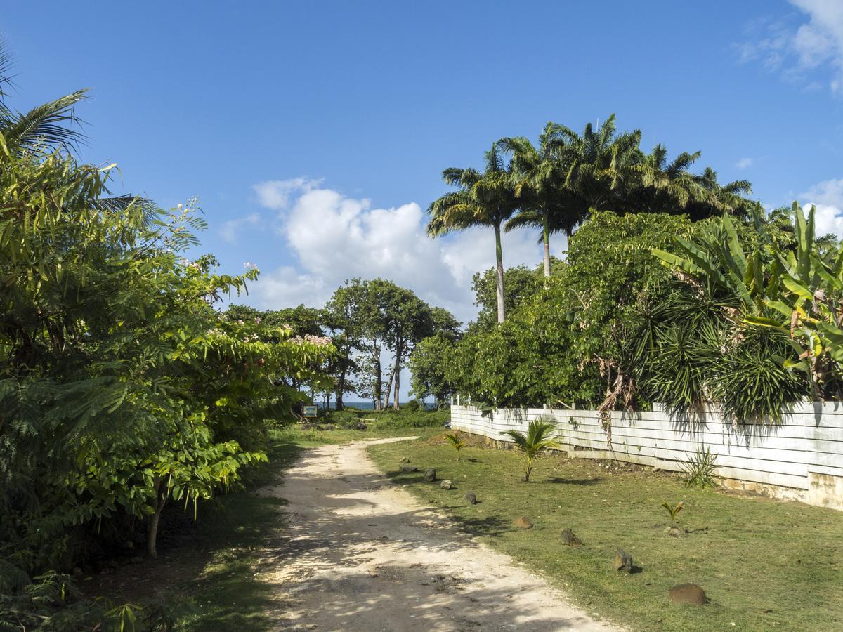 Coco Bungalows Sainte-Rose Exterior foto